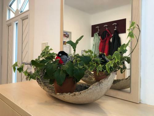 Apartment Gimpl