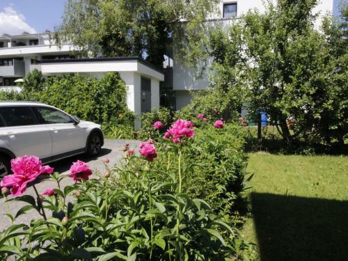 Apartment Das Stadthaus-1