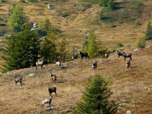 Apartamento Berg-arche