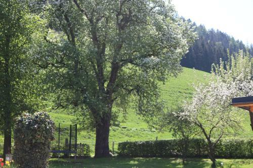 Apartamento Biohof Schmiedbauer