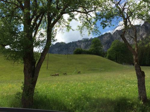 Apartamento Berghof Haselsberger Appartements
