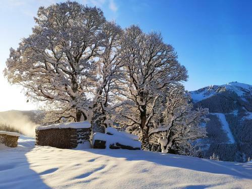 Sinnlehen Alm
