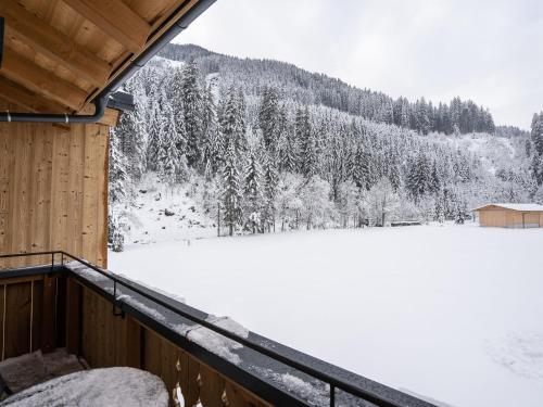Saalach Appartement 4/5