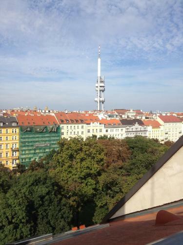 Penthouse Apartment In Vinohrady