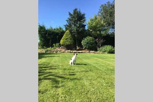 Apartamento Field View - In A Beautiful Cotswold Farmhouse