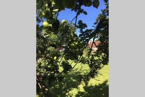Apartamento Field View - In A Beautiful Cotswold Farmhouse