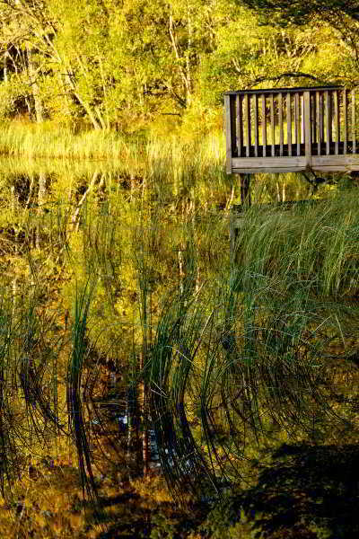 Loch Kinord Hotel