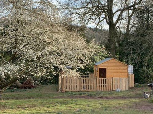 Bed & Breakfast Hedgehog Lodge Solitary Retreat
