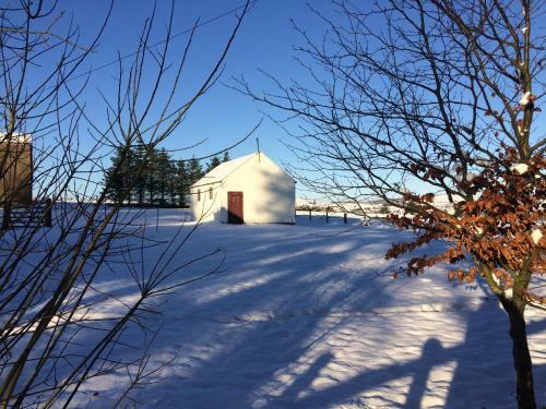 Scarlett Rose Cottage