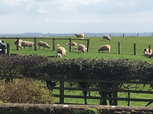Hall Farm Bed & Breakfast
