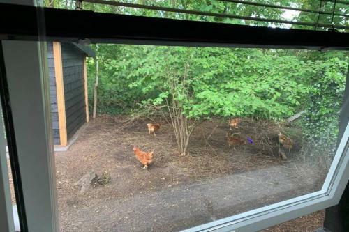 Prachtig Gerenoveerd Bakhuis Eneren�
