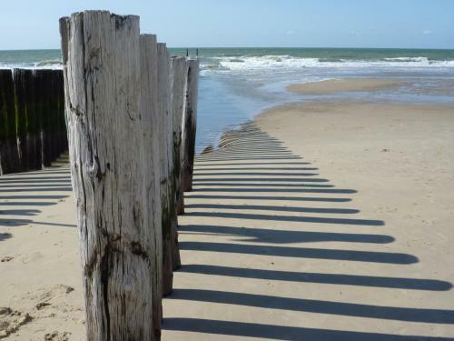 Apartamento Studio Het Strandhuis Ka04