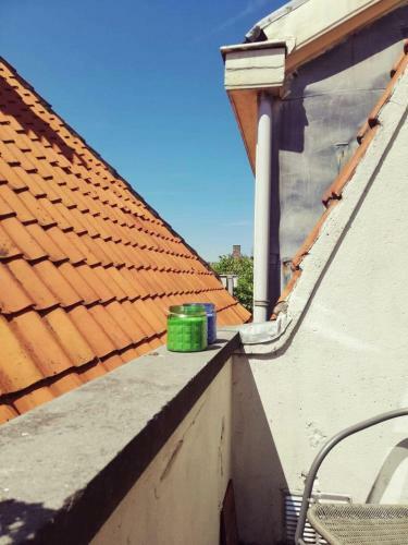 Apartamento de Groene Leeuw & de Zeven Provinci�n