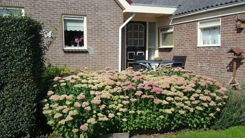 Apartamento Vakantiehuis de Wilgenhof