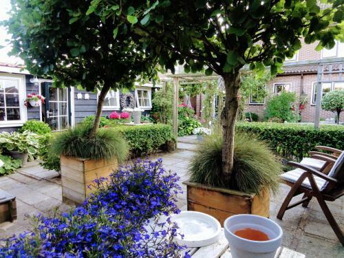 B&B Dichtbij Zee