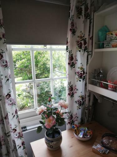 B&B Zalk Blijvenslapen