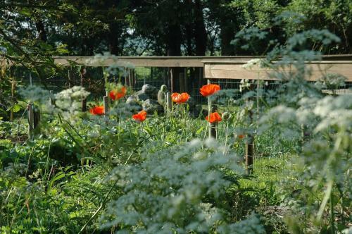 Gastenverblijf Op Het Graveland