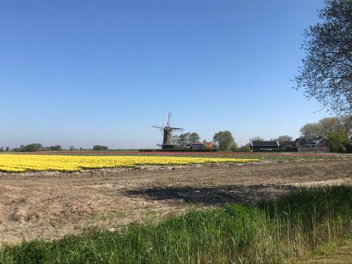 Aparthotel In De Gele Hoed
