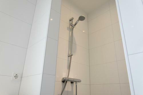 B&B Witvliet, Kamers En Studio Met Heerlijk Ontbijt !