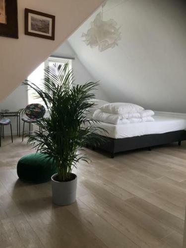 Hostal Kamers Van Goud