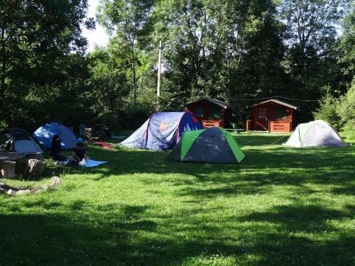 Bungalow Camping Edelweiss - Floare de Colt - Gyop�r
