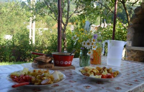 Hostal Casa Petri Rosia Montana