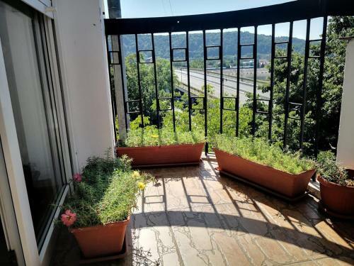 River View Apartment
