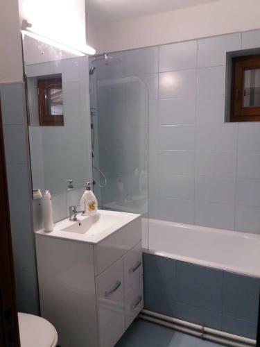 Apartament Ultracentral