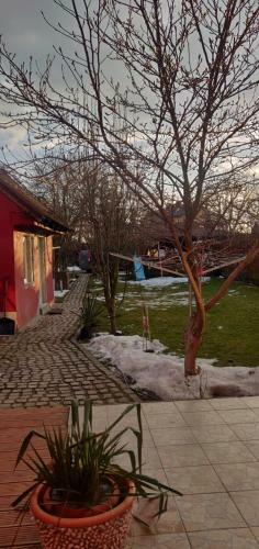 Hostal Casa Terzea