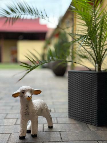 La Mimi Villa