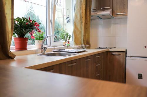Apartamente Bucegi