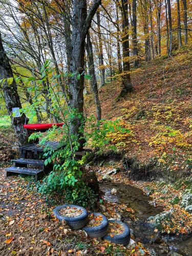 Hostal Casa Montis Rasnov