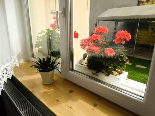 Apartamento Casa Joy