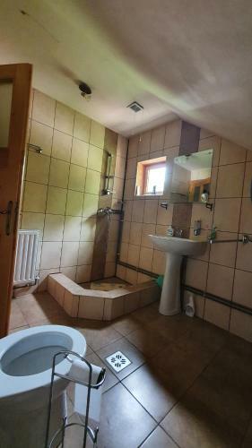 Cabana Bradului