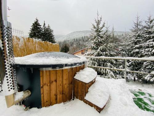 Hostal Pensiunea Alexandru
