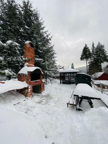 Hostal Pensiunea Alexandru