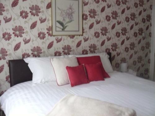 Forest View B&B