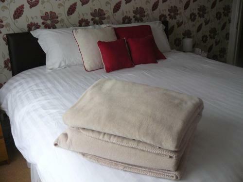 Forest View B&B