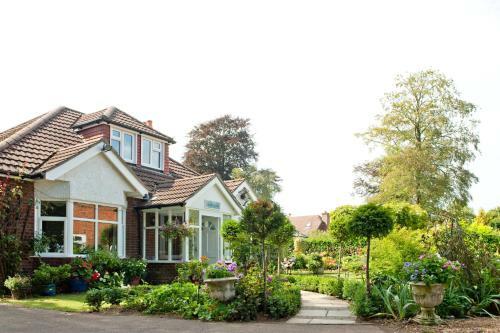 Forest View B&B