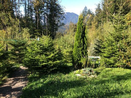 Hostal Pensiunea Vladet Predeal