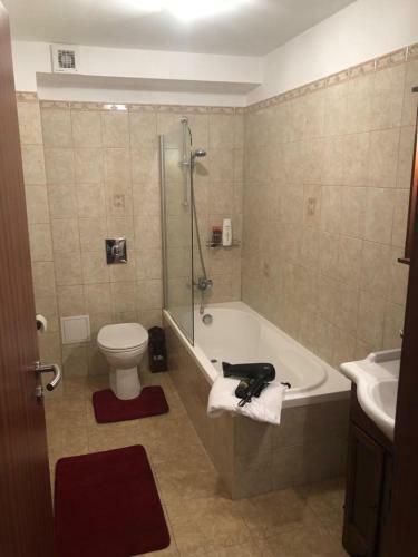 Predeal Fine Apartaments Clabucet