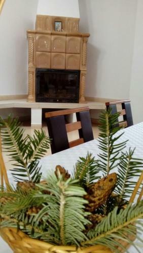 Hostal Vila Visinica