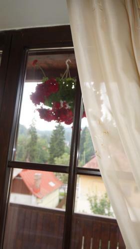 Hostal Pensiunea Medieval