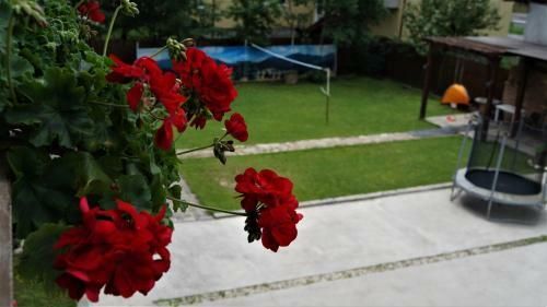 Hostal Pensiunea Medieval