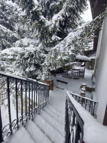 Hostal Vila Mountainview