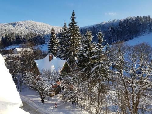 Apartamento Treasure Mountain Predeal