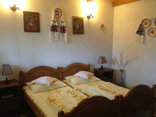 Hostal Pensiunea Turlas Maria