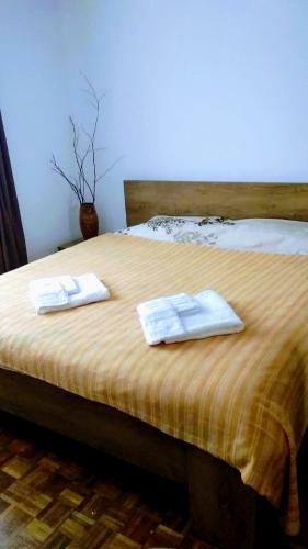 Apartamento Central Predeal