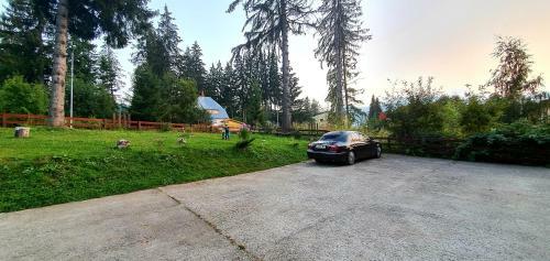 Paradise Haven Apartment, Predeal!