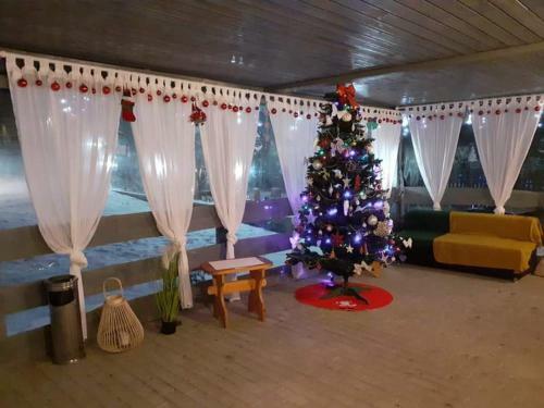 Hostal Pensiunea Floarea Dornei